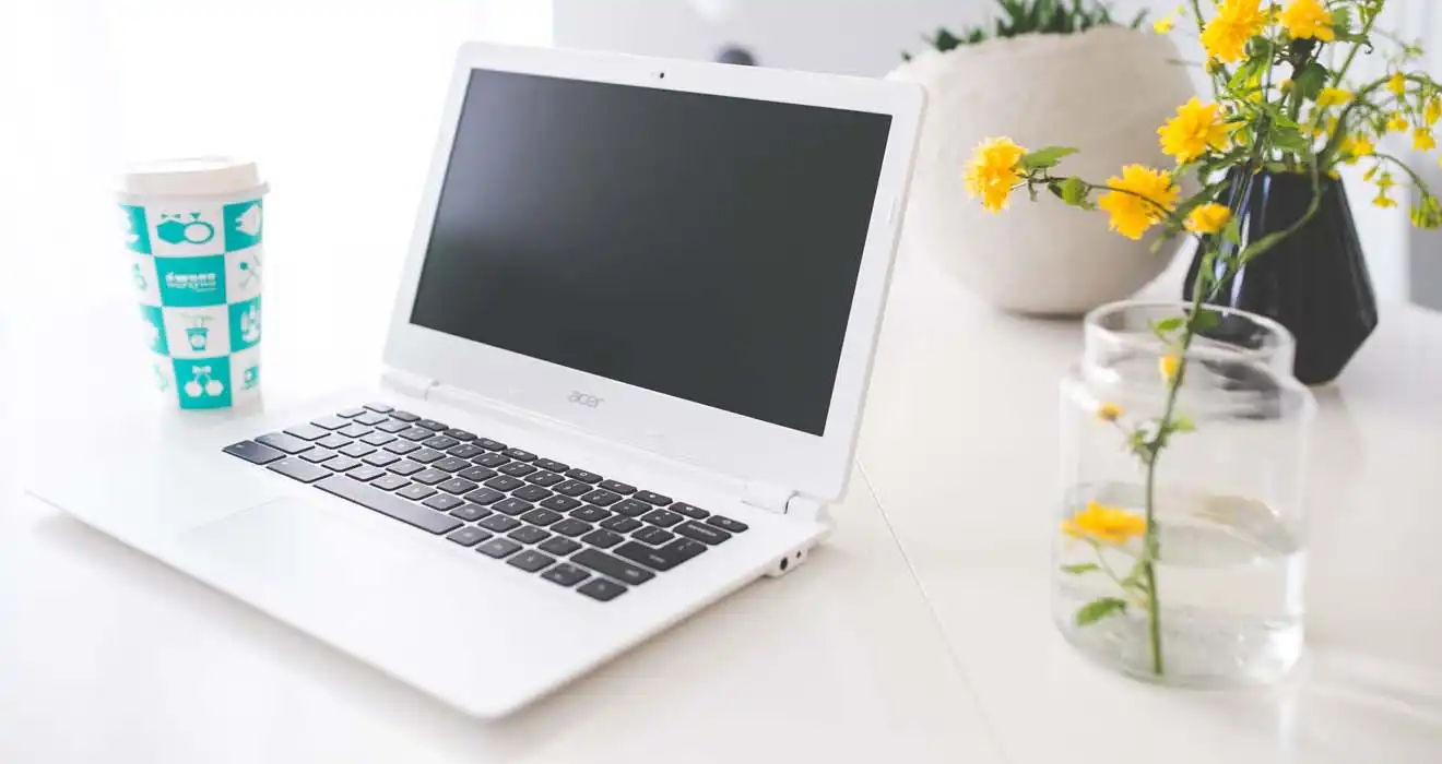 Ремонт ноутбуков Acer в Хосте