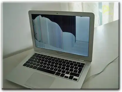 Замена матрицы Apple MacBook в Хосте